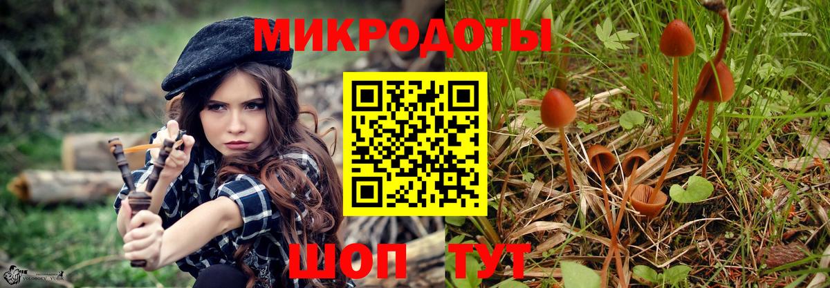 Псилоцибиновые грибы Psilocybe Донецк