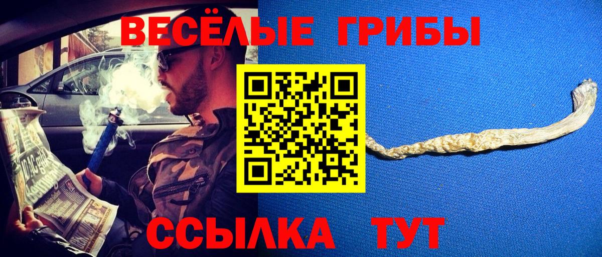 Псилоцибиновые грибы мицелий  Вход с VPN  Донецк  Галлюциногенные грибы Cubensis 